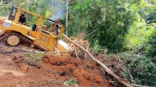 Pushing Wood and Moving Wood D6R XL Bulldozer Clears New Land