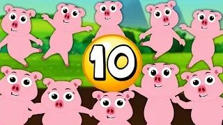 Ten Little Piggies | Kindergarten Nursery Rhymes For Kids