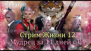 Мудрец в 10 окон за 11 дней? Марафон на офф сервере! Время фарма! Perfect World PW! 2022