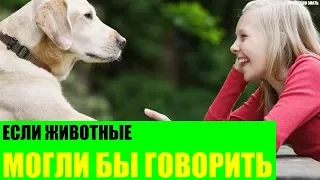 Если животные могли бы говорить