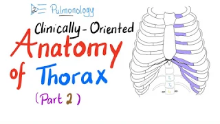 Clinically-Oriented Anatomy of the Thorax (Part 2)