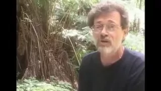 Terence McKenna  on Today's Choatic Times