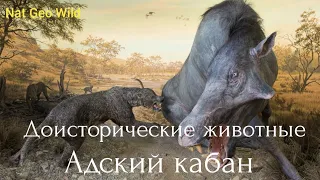 Nat Geo Wild. Доисторические животные. Адский кабан.