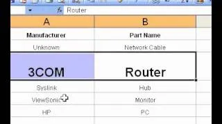 Microsoft Office Excel 2003 Use Format Painter to copy cell formats to other cells