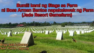 Arman Santos (Jade Resort Gamefarm)Farm visit Ang lawak ng Farm!