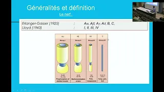 Les polyneuropathies