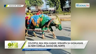 One Mindanao:  Colorful nga mga kabaw, mirampa sa New Corella, Davao del Norte