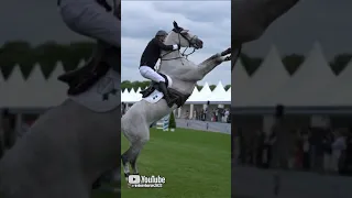 Trouble 👀 #shorts #trending #viral #fail #horse #sports #equestrian #fall