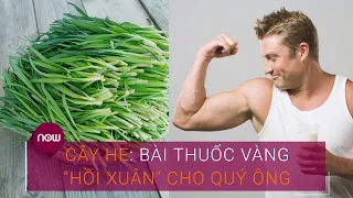 Cây hẹ: Bài thuốc vàng "hồi xuân" cho quý ông | VTC Now