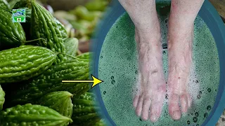 Soak Your Feet In Karela Juice For 10 Days, And Say Goodbye To Diabetes