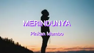 MERINDUNYA - Pinkan Mambo - Cover By Tito Munandar