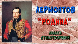 Родина («Люблю отчизну я, но странною любовью!..»). Анализ стихотворения