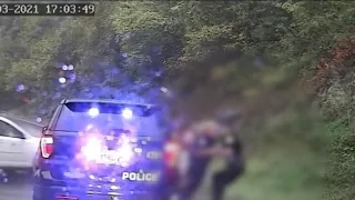 Virginia Cop Saves Fellow Officer from On Coming Car #shorts