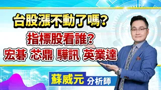 蘇威元分析師【封關前還可以買股票嗎？驊訊漲停 麗臺大漲】 2024.01.24  #蘇威元 #股市揚威