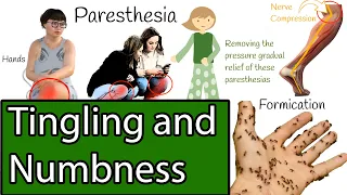 Numbness and Tingling,  Causes of Paresthesia