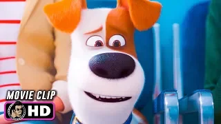 THE SECRET LIFE OF PETS 2 Clip - Waiting Room (2019)