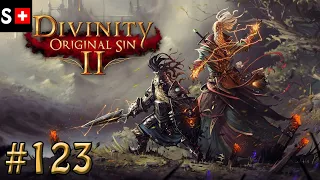 Divinity: Original Sin 2 - 123 | The Wellspring