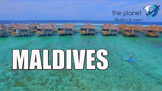 11 Best Things to do in Maldives - The Planet D Travel Vlog