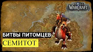 Побеждаем СЕМИТОТ | БИТВЫ ПИТОМЦЕВ | Dragonflight: World of Warcraft