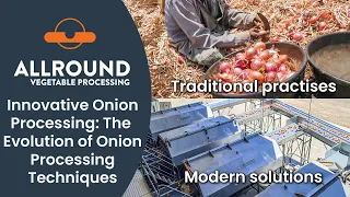 Innovative Onion Processing: The Evolution of Onion Processing Techniques