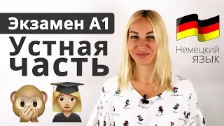 Экзамен А1 - Устная часть | Разбираем все этапы и вопросы. Немецкий язык