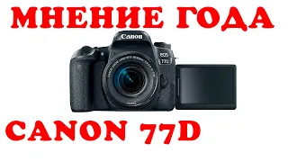 Canon 77D #честный обзор