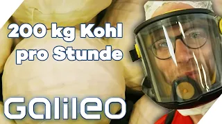 2 Tage schuften in der größten Sauerkraut Fabrik der Schweiz | Galileo | ProSieben