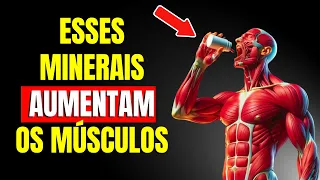 12 Minerais ESSENCIAIS para o Construir Musculos rapidamente / Vitaminas | CORPO HIPERTROFIADO