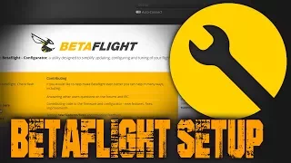 Basic Betaflight Setup