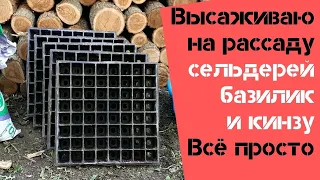 Высаживаю на рассаду сельдерей, базилик и кинзу / Все просто / Огород дяди Вовы