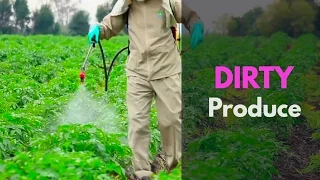 "Dirty Dozen" List Reveals Produce With Pesticides