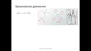 Броуновское движение (2). Флуктуационно-диссипативная теорема (1).