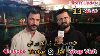 Chakoor Black Teetar & Mashadi Jal Shop Visit in Saddar Birds Market Karachi || HABIBTV
