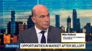 'Never Been a Fan of Stock Buybacks,' Holland Says