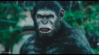 Kong is back 👀हॉलीवुड एक्शन मूवी  शॉर्ट पार्ट  ( 3 )