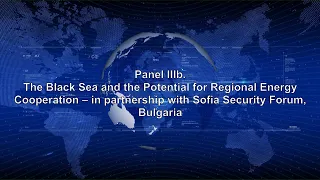 Panel IIIb. The Black Sea and the Potential for Regional Energy Cooperation.(RO)