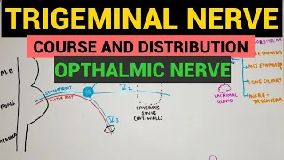 Trigeminal Nerve - 1 | Opthalmic Nerve | Course and Distribution
