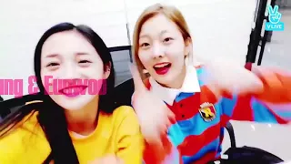 KOREAN ARTIST COVER AND JAMMING TO TWICE'S LIKEY COMPILATION