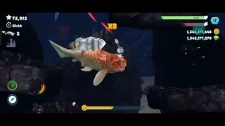 Hungry Shark evolution