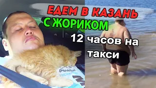 12 ЧАСОВ ЕДЕМ С КОТЁНКОМ ЖОРИКОМ НА МАШИНЕ ДО КАЗАНИ! КУПИЛ НОВЫЕ ШМОТКИ СЕБЕ, И КУПАНИЕ В РЕЧКЕ!