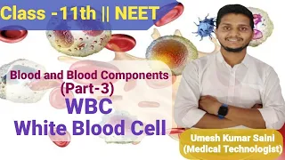 Human physiology | NCERT | Blood | Blood component part-3 | WBC | White Blood Cell | Class-11 | NEET