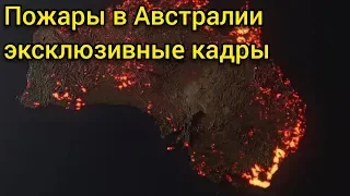 ПОЖАРЫ В АВСТРАЛИИ ВИДЕО / ПОЖАРЫ В АВСТРАЛИИ УНИЧТОЖИЛИ ГОРОДА И БОЛЬШЕ МИЛЛИАРДА ЖИВОТНЫХ