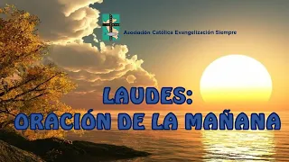 LAUDES y la oración de la mañana DEL MARTES 15 DE NOVIEMBRE 2022