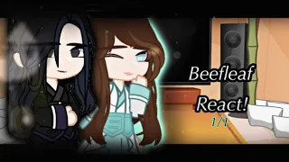 [ Beefleaf react ??? • He Xuan x Shi Qingxuan • angst • 1/1 • Special new year 2023 ]