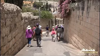 MOUNT of OLIVES JERUSALEM PILGRIMAGE VIDEO TOUR