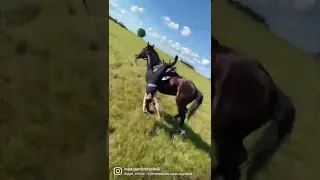 Джигитовка. Трюки. Лошадь карачаевской породы. Horse riding. Djigitovka