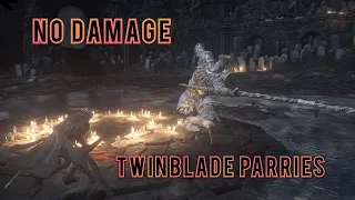 Flawless NG+7 Champion Gundyr | Twinblade Parries | Dark Souls 3