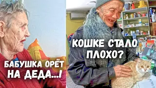 БАБУШКА ОРЁТ НА ДЕДУШКУ! Что случилось с БЕЛЯНОЙ???