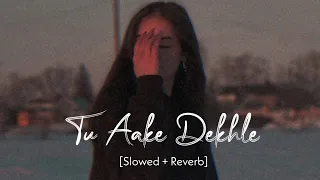 Tu Aake Dekhle (Slowed And Reverb) - King | Sajid World