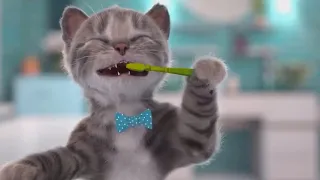 Have a PURRFECT time with cute kitties【Kitten Match】Little Kitten Adventure